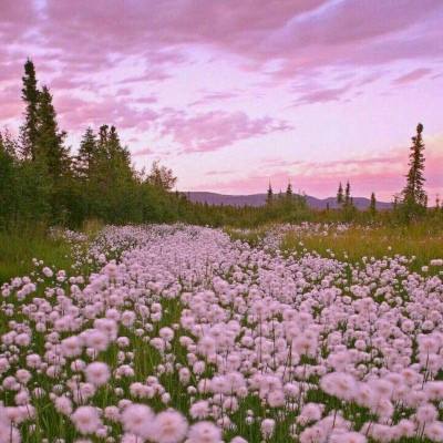 一分三快app手机app下载